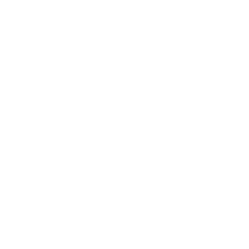 Application Opens