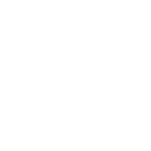 Project Experience